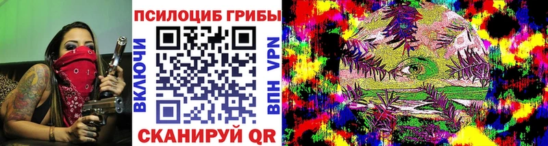 Псилоцибиновые грибы мухоморы  где купить наркоту  Борисоглебск 